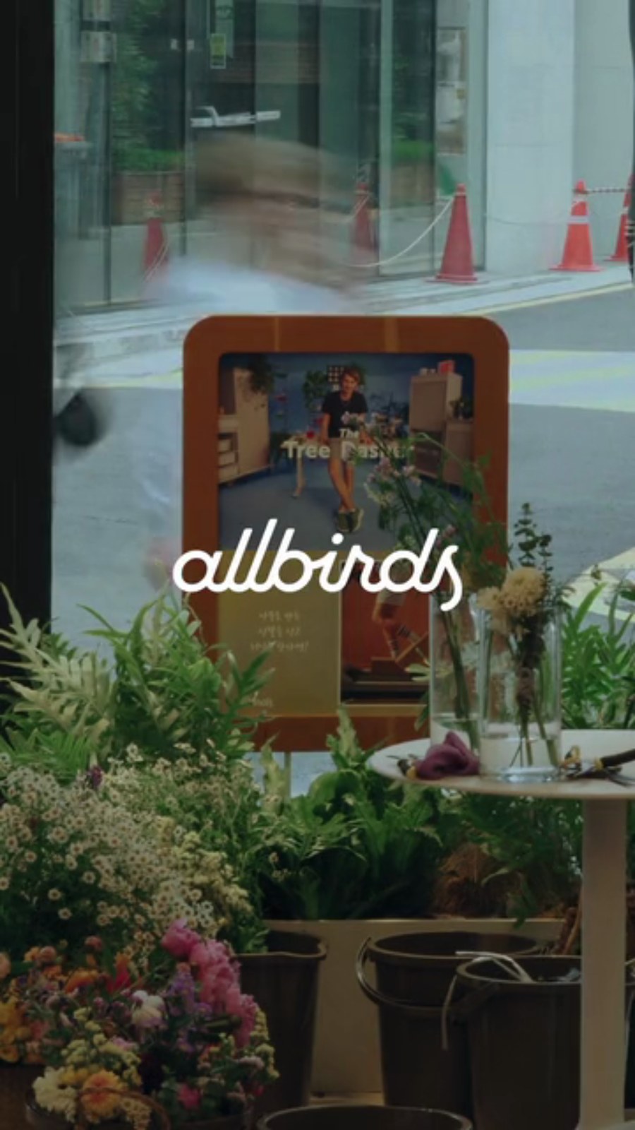 올버즈 (ALLBIRDS) — 브랜드 필름 공연영상