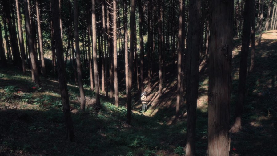 KOREA FOREST SERVICE — EAST-WEST TRAIL still 1
