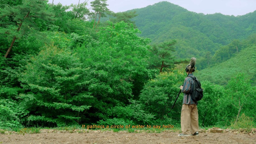 RADIO PARADISE — ASKING HELLO still 7